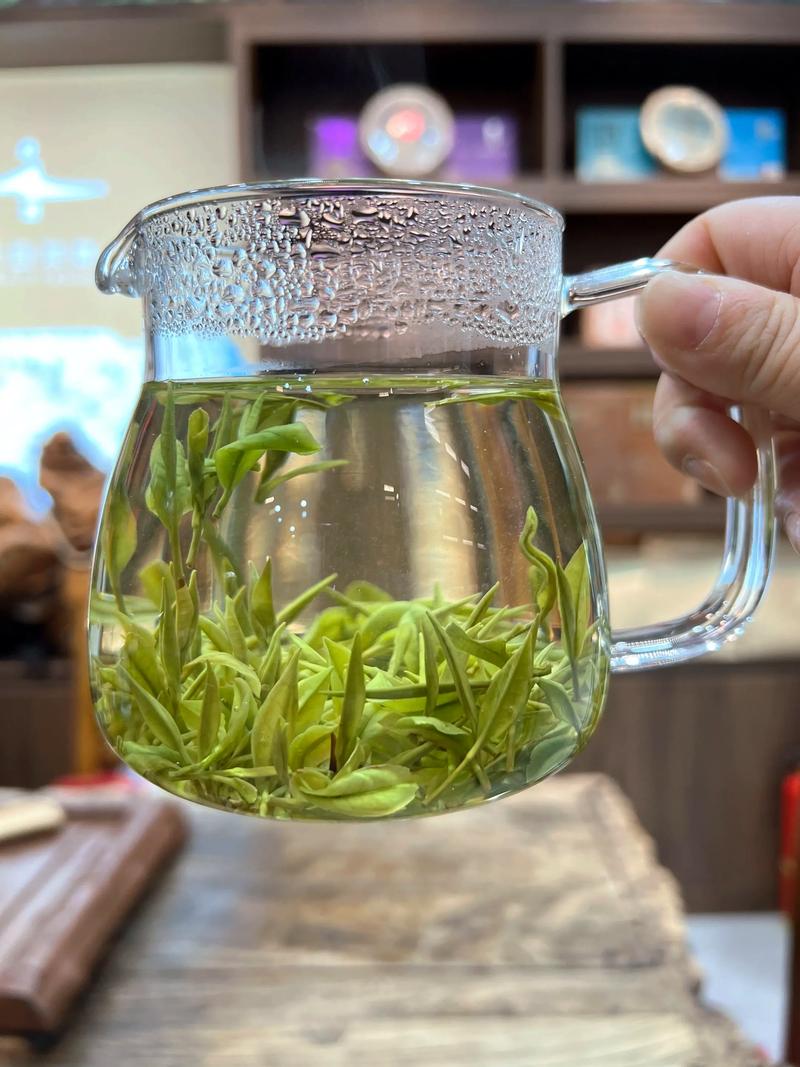 上海品茶工作室：品味生活的艺术