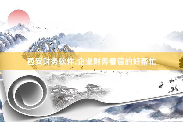 西安财务软件，企业财务看管的好帮忙