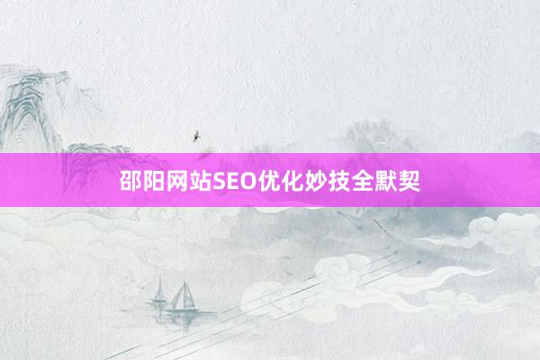 邵阳网站SEO优化妙技全默契