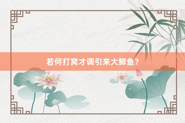 若何打窝才调引来大鲫鱼？